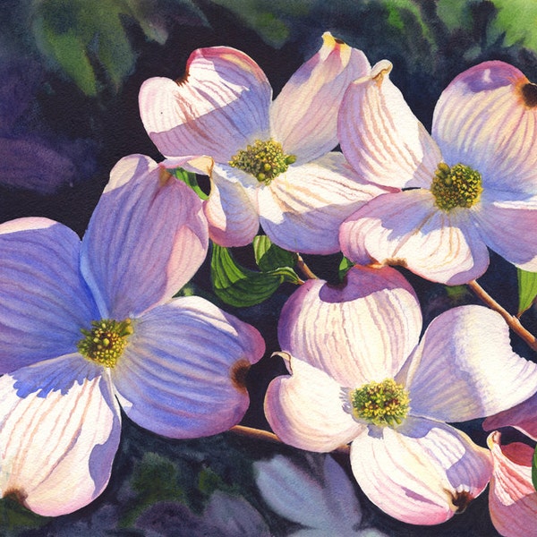 Pink Dogwoods Watercolor Painting Print by Cathy Hillegas, 12x16, floral watercolor, watercolor print, dogwood art, pink, white, blue, green