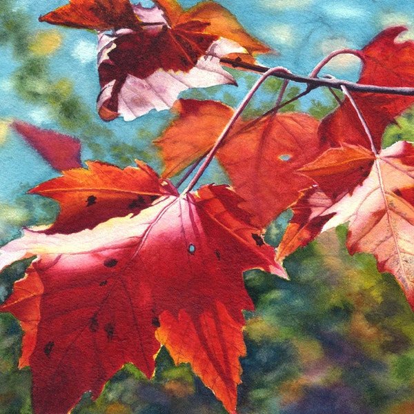 Red Leaves Watercolor Painting Print by Cathy Hillegas, 8x10 art print, Autumn leaves art, watercolor print, red orange blue green art