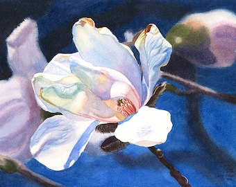 White Magnolia watercolor painting print, Cathy Hillegas Watercolors, 8x10 watercolor print, magnolia art, valentines day gift