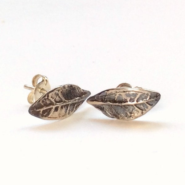 Botanical Scribble Earrings main image 1