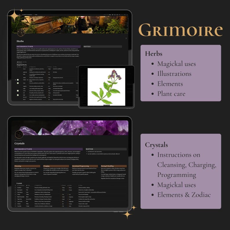 May include: A digital grimoire with sections on herbs and crystals. The herbs section includes illustrations and information on magical uses, elements, and plant care. The crystals section includes instructions on cleansing, charging, and programming, as well as magical uses, elements, and zodiac associations.