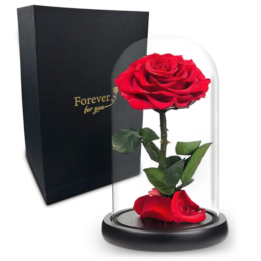 Preserved Rose in Glass Dome Eternal Enchanted Forever - Infinity Rose ...