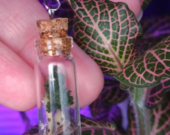 Faux Terrarium Necklace, Plant Vial, Nature Jewelry