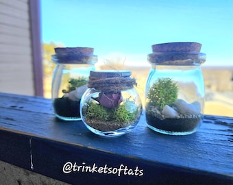 Miniature Faux Terrariums, Moss and Sand Crafts, Fake Plants, Gifts for Plant Lovers
