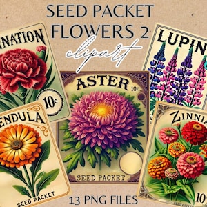 Garden Flowers Seed Packets Vintage Illustrations Clip art of Floral Seeds for Scrapbooking, Junk Journaling, Paper Craft, Diy Projects