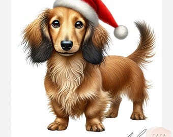 Christmas Dachshund Clipart | 12 JPEG Files | Long-Haired Tan Sausage Dog with Santa Hat | Holiday Pet Art for Cards, Sublimation & Crafts