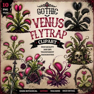 Gothic Venus Flytrap Clipart | Dark Botanical PNG Bundle | Gothic Carnivorous Plant Clipart | 10 Macabre Plant Designs