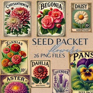 Puede incluir: Una colección de diseños de paquetes de semillas de estilo vintage con varias flores, incluyendo Crisantemo, Begonia, Margarita, Zinnia, Aster, Dalia, Lavanda y Pensamientos. La imagen incluye el texto "SEED PACKET flowers 26 PNG FILES."