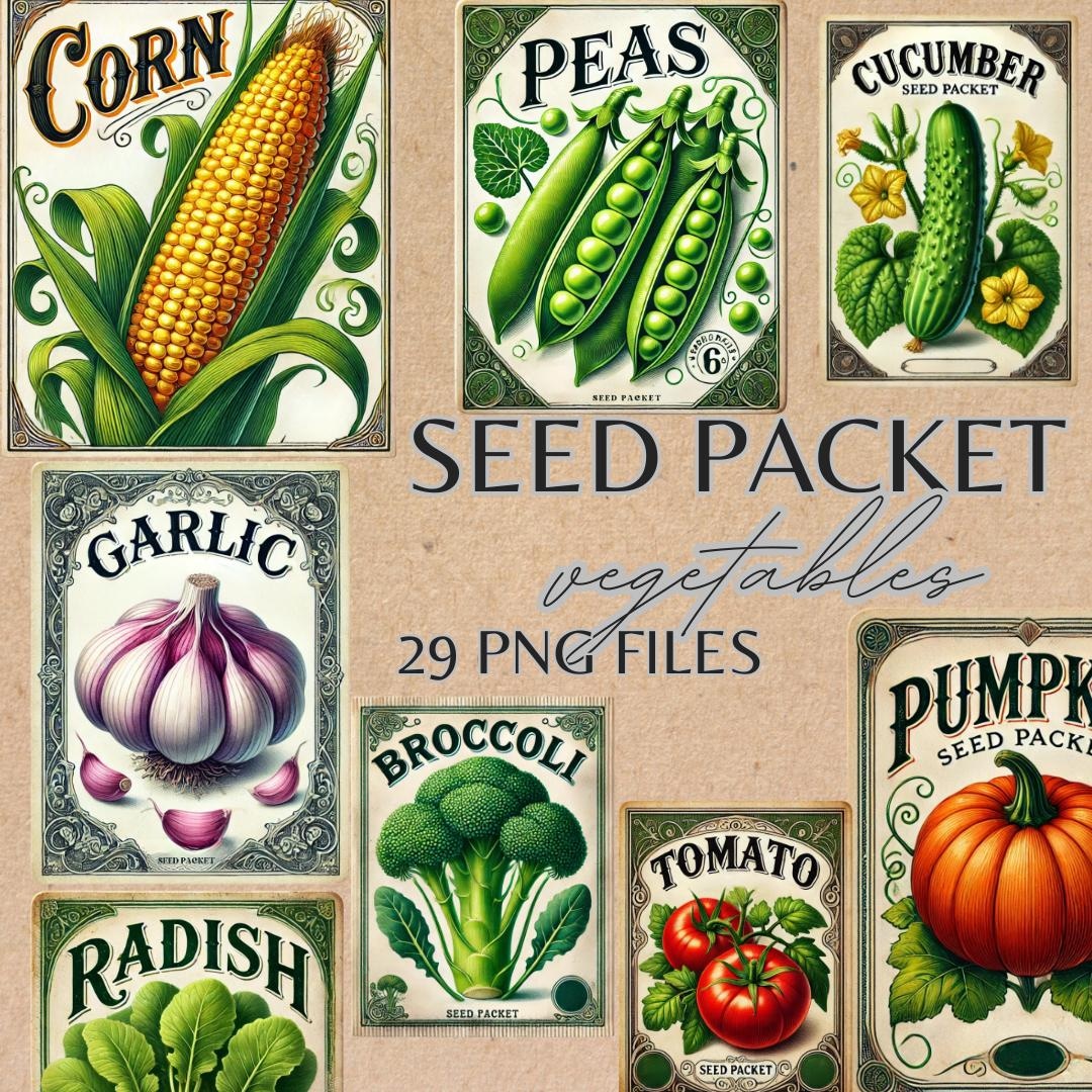 Vintage Vegetable Seed Packet Clipart, Printable Watercolor for ...