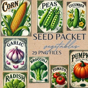 May include: A collection of vintage-style seed packet illustrations featuring various vegetables. The packets showcase corn, peas, cucumber, garlic, radish, broccoli, tomato, and pumpkin. The text "SEED PACKET" and "vegetables" are visible. The image also includes the text "29 PNG FILES".