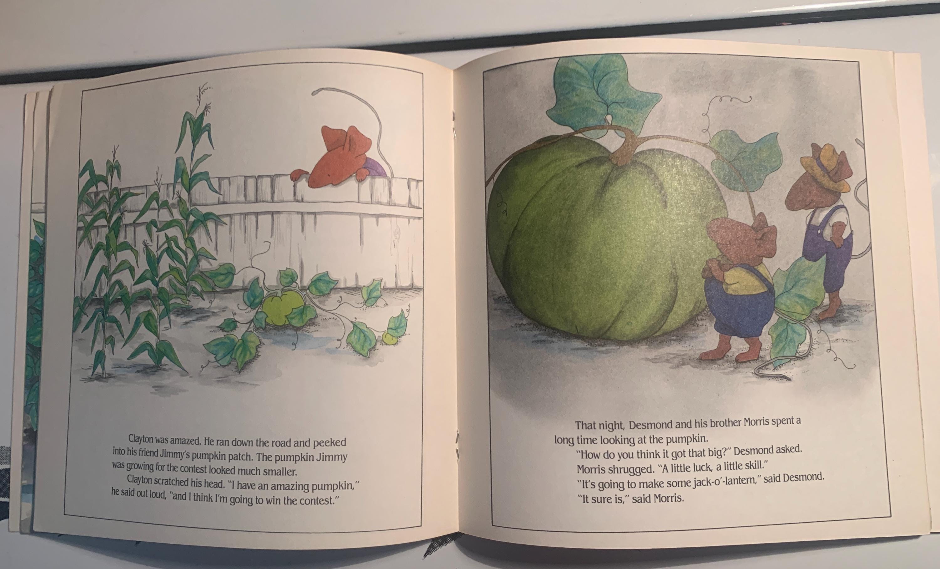 The Biggest Pumpkin Ever, image size:3000x1816