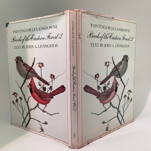 Paintings by JF Lansdowne, Birds of shops the Eastern Forest 2, vintage oversized book,