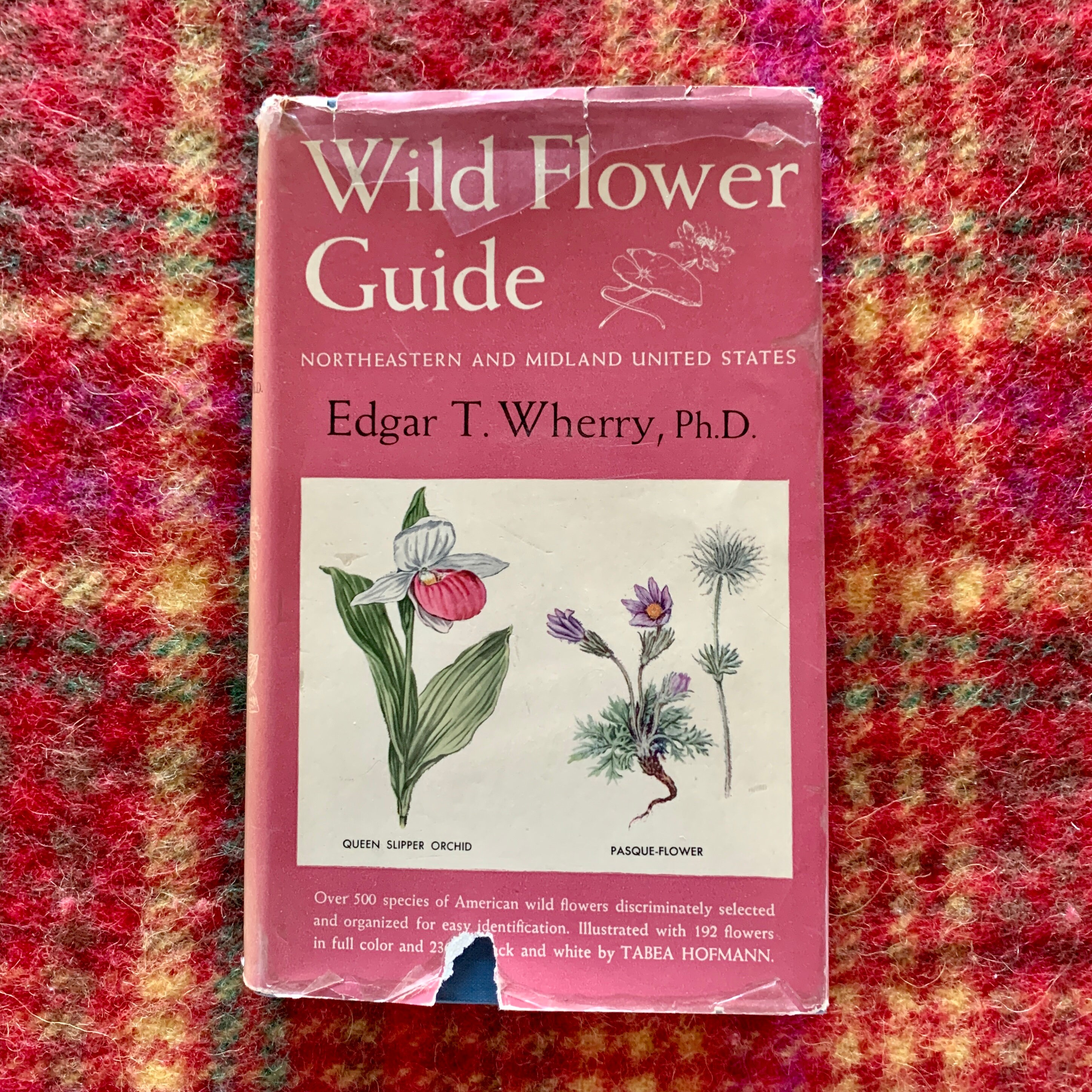 Wild Flower Guide, Northeastern and Midland United States