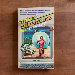 May include: A book cover for the micro adventure series, number 8, titled "The Big Freeze". The cover features a man running on a beach with a large moon in the background. The book is by Jean M. Favors.