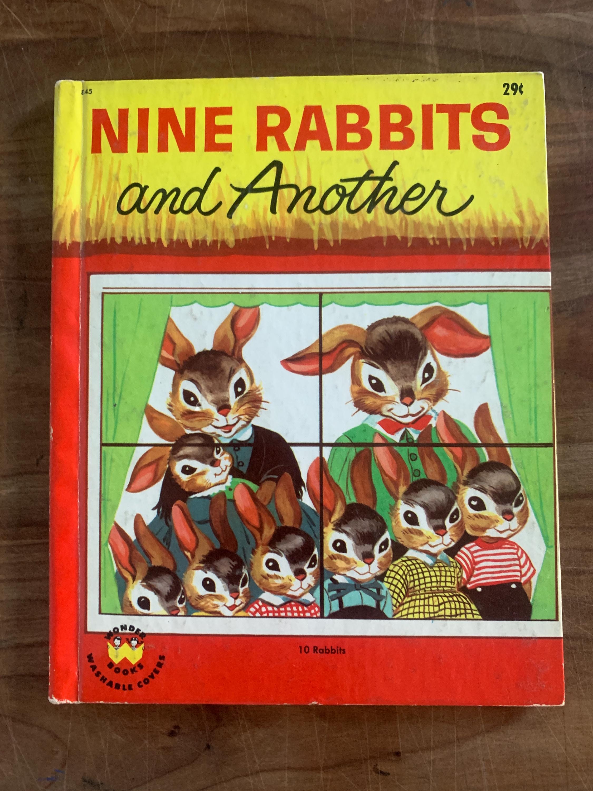Vintage Children's Book: Nine Rabbits and Another, 1957 Wonder