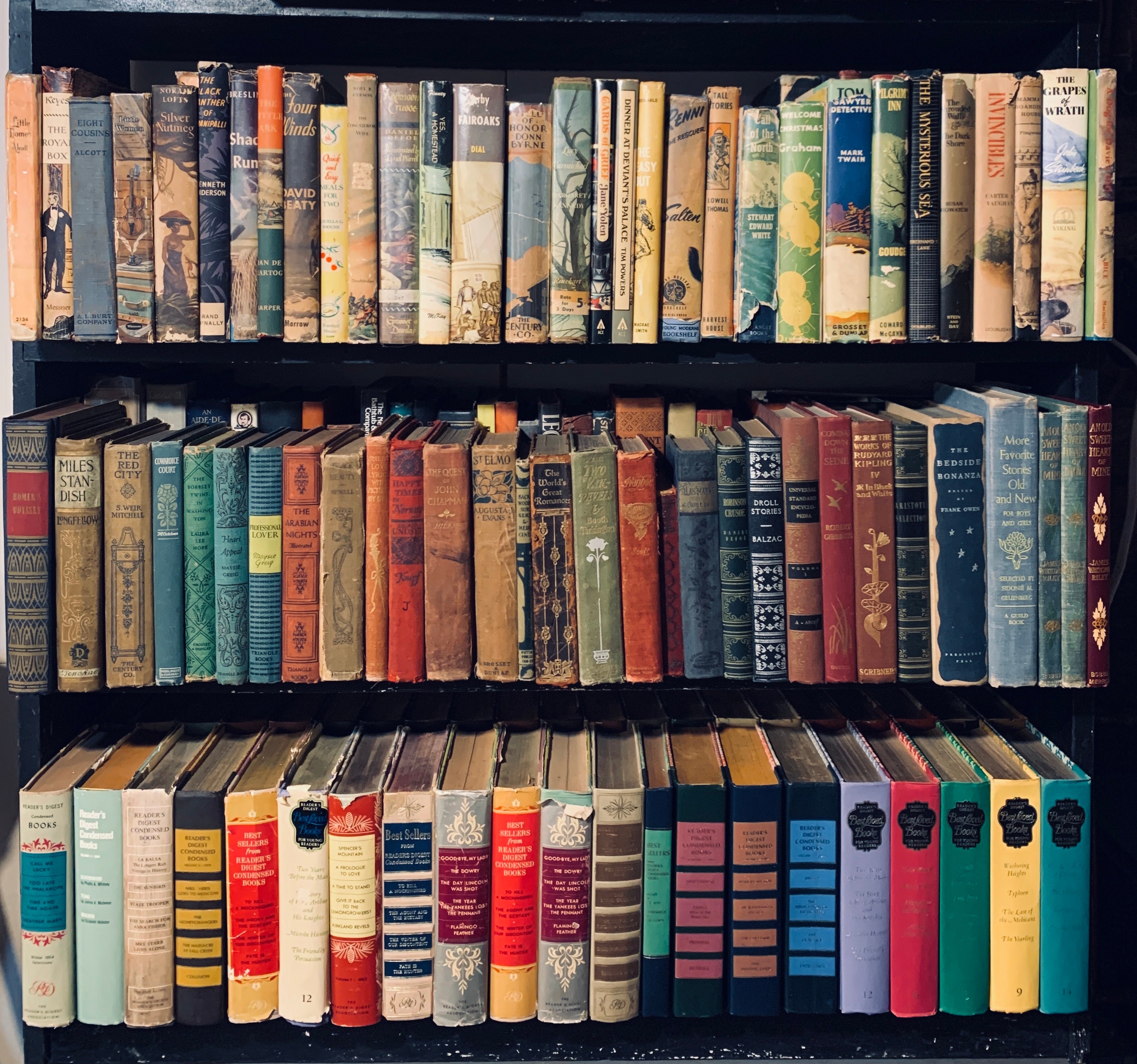 Authentic Books for Decoration, Distressed Canvas/decorative