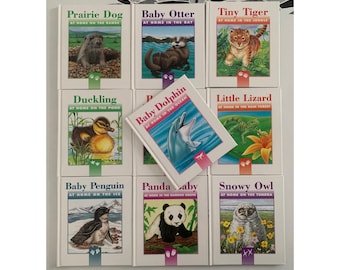 The Bunny's Nutshell Library by Robert Kraus: Mini Book Set - Etsy
