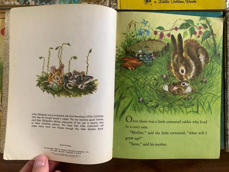 Vintage Easter Little Golden Books, Peter Rabbit, Velveteen Rabbit - Etsy