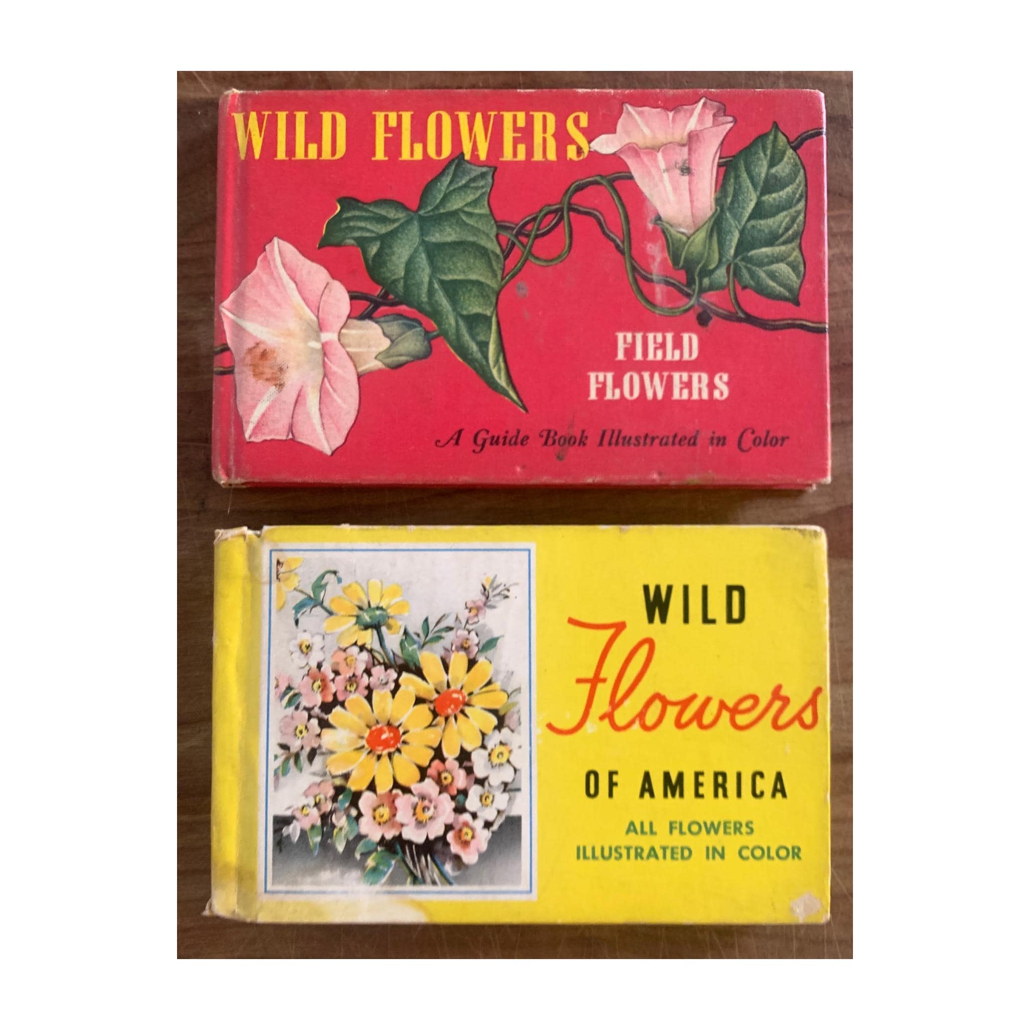 Vintage Wildflower Books: 1932 & 1945 Illustrated Guides - Set of