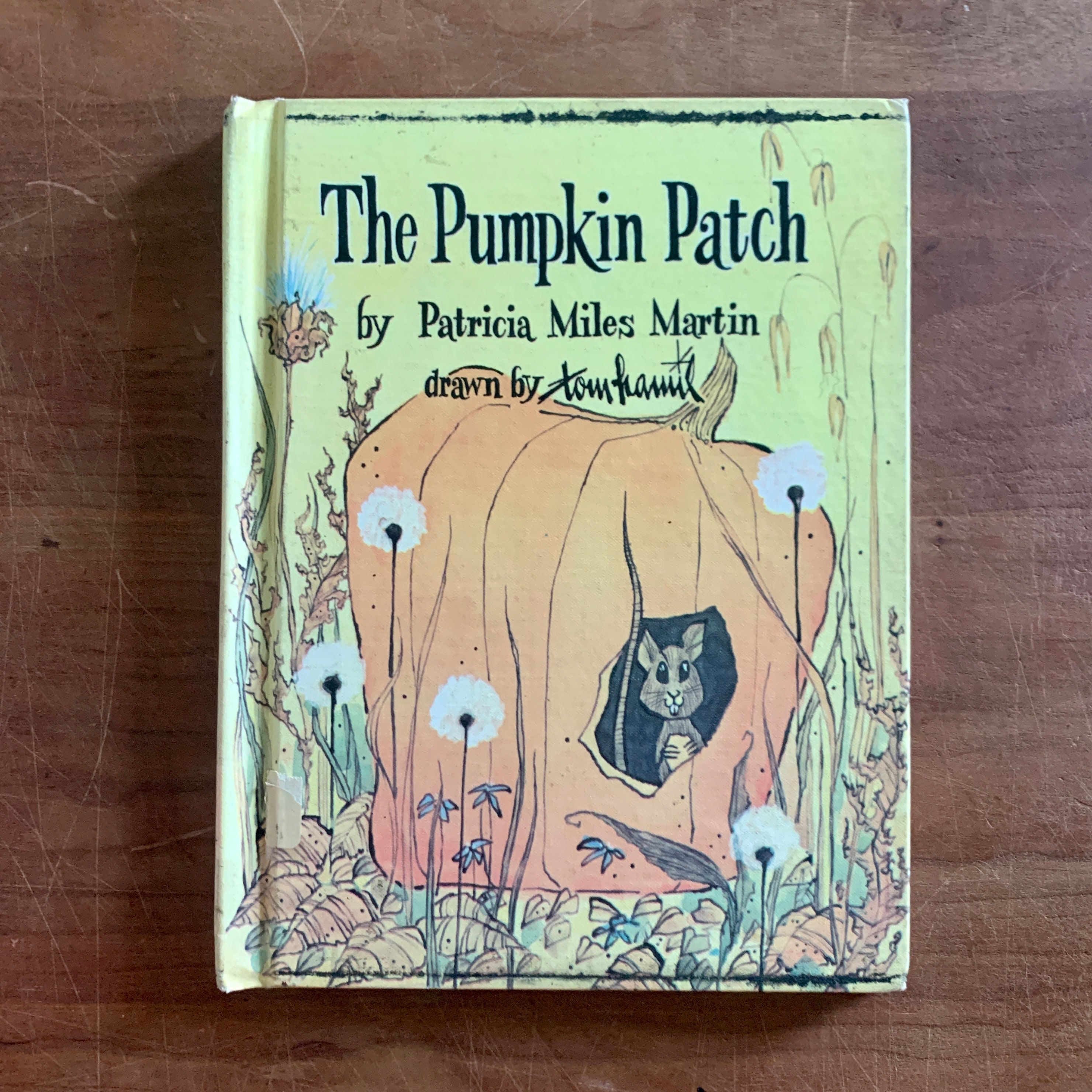 The Pumpkin Patch by Patricia Miles Martin Drawn by picture