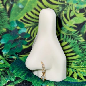 Dangle Nose Ring