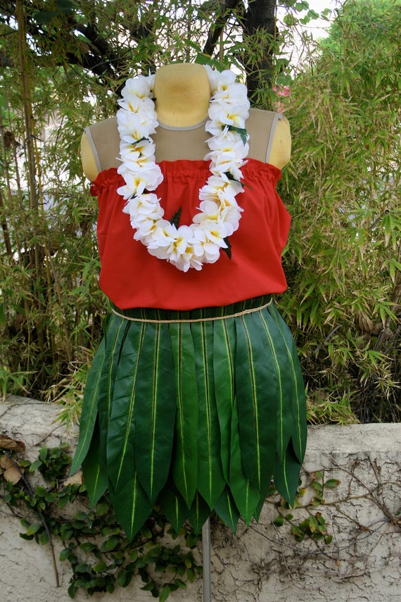 Grass Skirt Natural Adult - Costume Holiday House