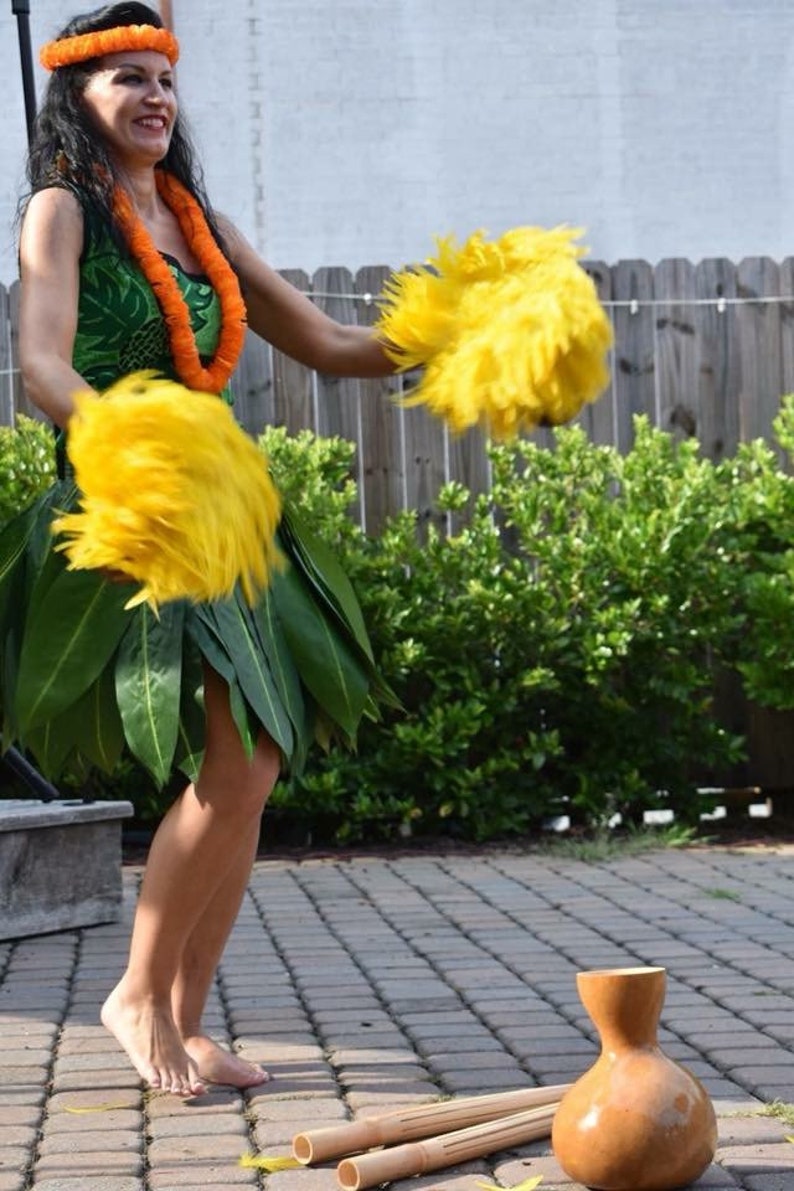 lilo skirt costume