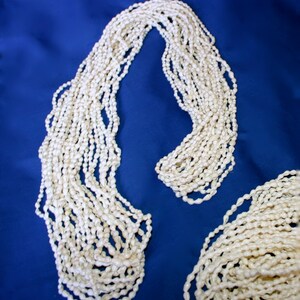 Natural White Nassa Shell Lei 12 Strands With Their Own Little Storage Pouch image 1