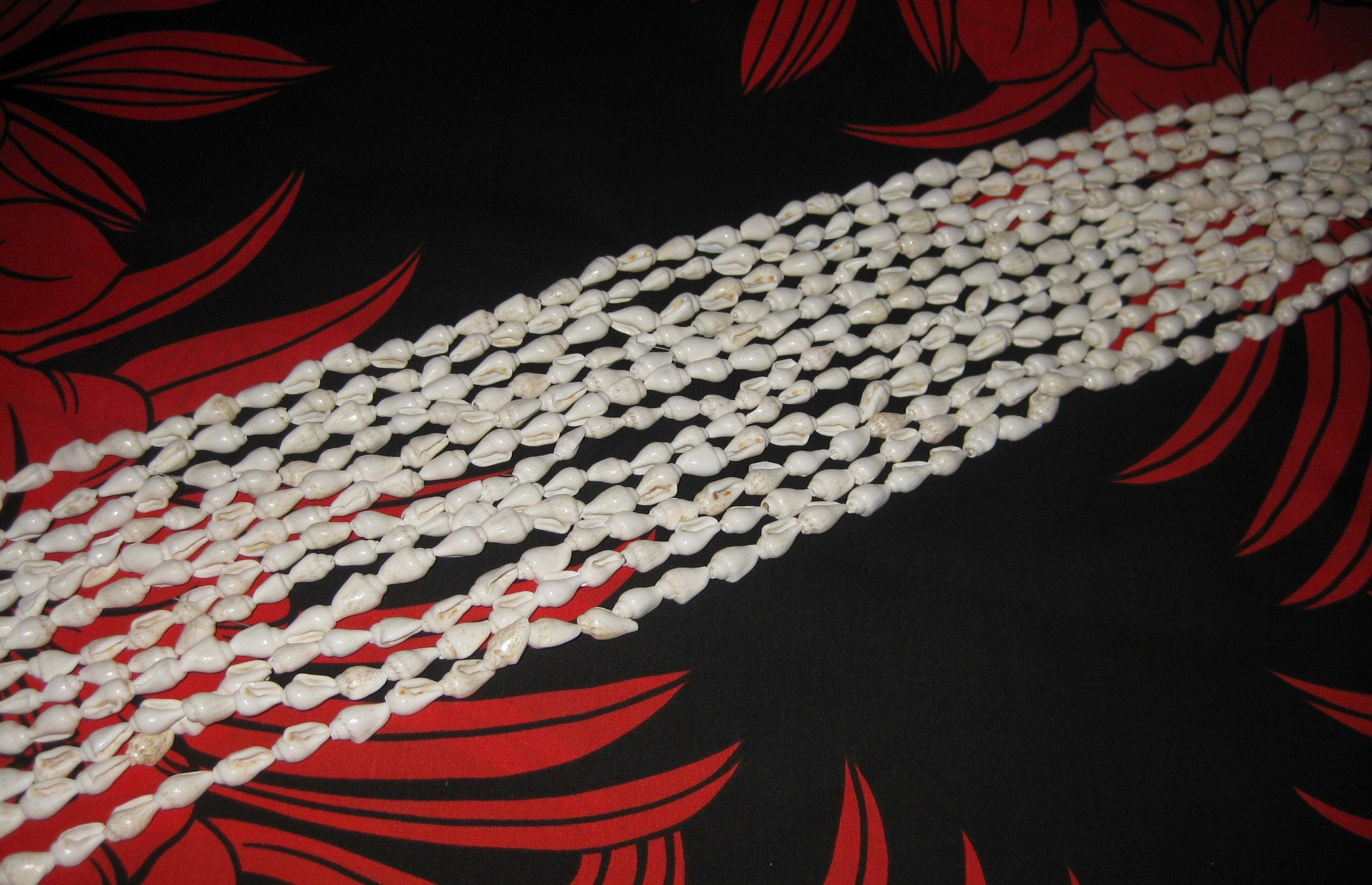 1 2 Dozen Natural White Nassa Shell Lei ~ 6 Strands With Their Own…