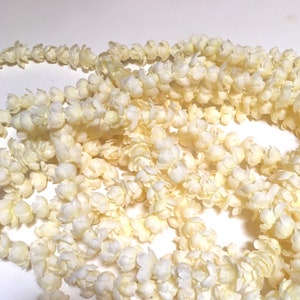 Suited For A Princess Hawaiian Lei Pīkake Elegant Long 60 Strand Of Arabian Jasmine Natureʻs Jewelry image 3