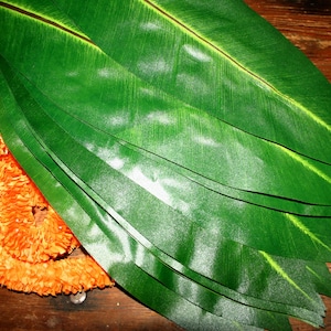 May include: A collection of bright green artificial leaves with prominent veining, arranged next to a garland of vibrant orange flowers. The leaves have a glossy finish, and the flowers have a textured, ruffled appearance. The items are on a dark wooden surface.