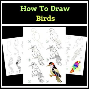 May include: A black and white image with the text "How To Draw Birds" in green and yellow. The image shows step-by-step instructions for drawing birds, with numbered diagrams and a colorful parrot illustration.