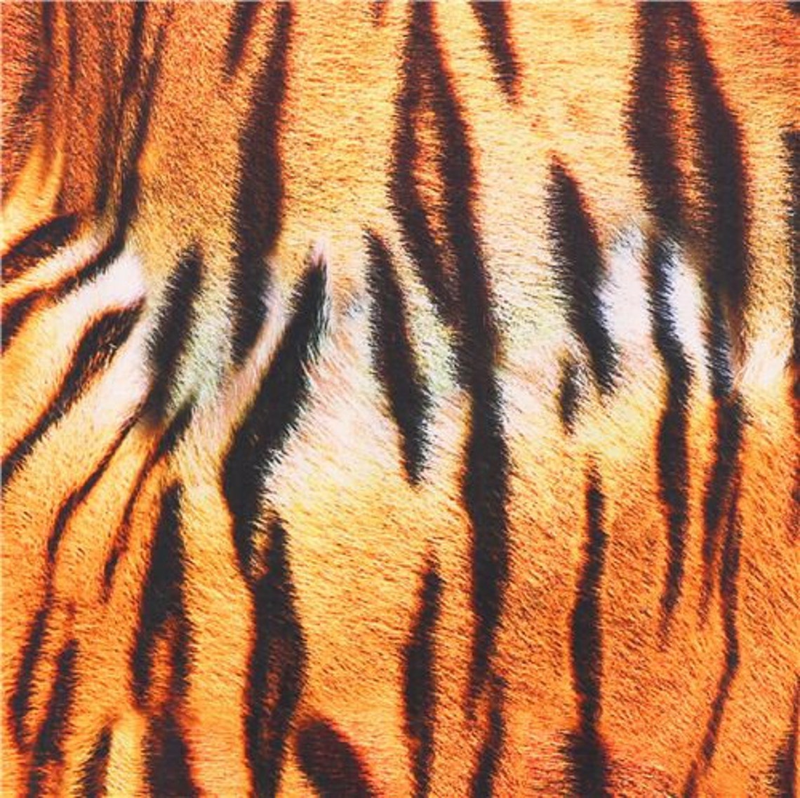 246315 Tierdruck Satin Tiger Streifen orange Baumwollstoff Etsy 246315 Tierdruck Satin Tiger Streifen orange Baumwollstoff Etsy