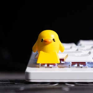 Ente Acryl Handwerker Keycap | Benutzerdefinierte Tastenkappe | Gaming Tastenkappe | Ersatz-Schlüsselkappe | Lustiges Geschenk | Cherry MX Tastenkappe