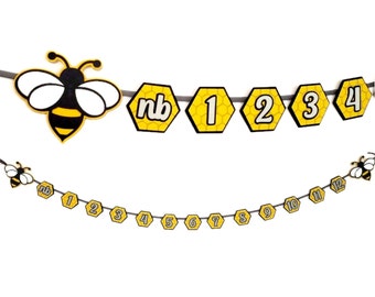 Milestone Banner, 12 month Photo Banner, 1st Birthday Year Photos, 1st Bee-Day, Hexagons, Bee Theme, Monthly Photo Banner