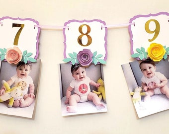 12 month Photo Banner, 1st Birthday Photo Banner, Monthly Photo Banner, Choose Your Colors, Milestone Banner
