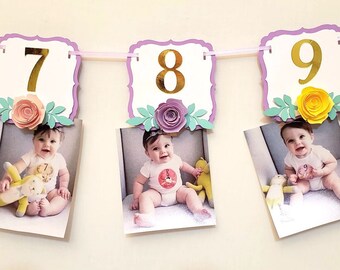 12 month Photo Banner, 1st Birthday Photo Banner, Monthly Photo Banner, Choose Your Colors, Milestone Banner