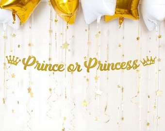 Prince or Princess Banner, Gender Reveal Baby Shower Banner, Baby Sprinkle, Gender Reveal Party Decor