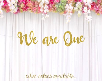 Twin Baby's First Birthday Banner, We are One Banner, Triplets Birthday, Custom Age Birthday Banner, Cake Smash Banner,