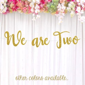 Twins 2nd Birthday Banner, We are Two Banner, Twins Second Birthday, Custom Age Birthday Banner, , Choose Your Color