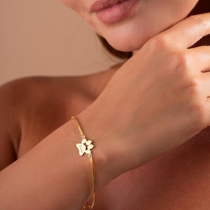 Peut inclure: Un bracelet en chaîne dorée avec un pendentif en forme de patte de chien. Le pendentif porte le nom "Diana" gravé.