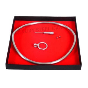 Collare Eternity con chiusura in acciaio inossidabile satinato da 6 mm con anello rimovibile