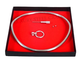 6mm curved petite stainless steel Satin locking Eternity collar with Removable ring - Day Collar available in multiple sizes
