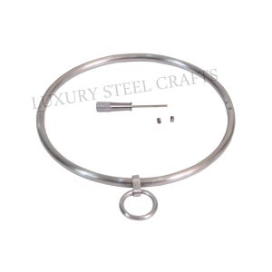 Könnte beinhalten: Eine silberne Metall-Choker-Halskette mit einem kleinen Ring. Die Halskette wird mit einem kleinen Schraubendreher und zwei Schrauben geliefert.