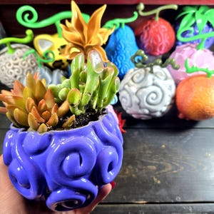 Anime-Inspired Devil Fruit Plant Holder