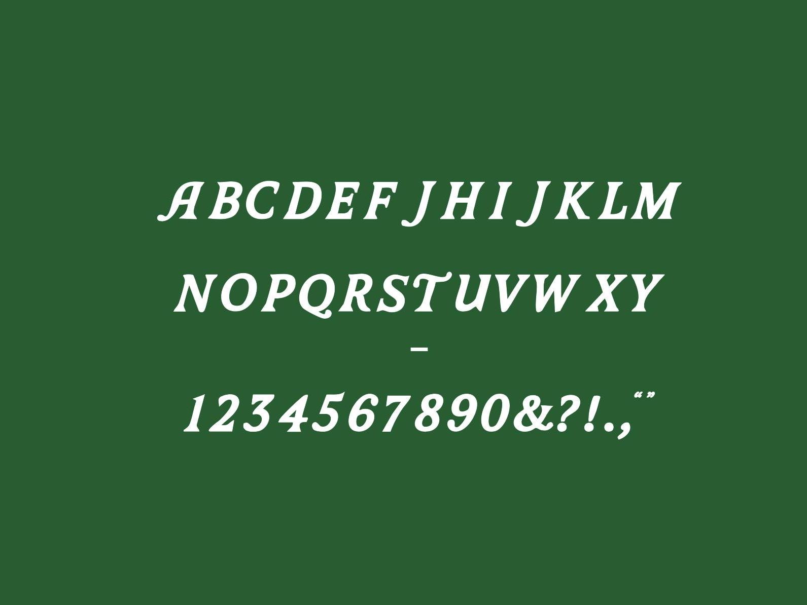 April Opentype Fonts: Classic Serif Display Typeface (OTF File Digital ...