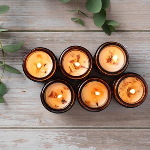 May include: Six amber glass candle jars with a natural wax blend and a warm, golden glow. The candles are arranged in a semi-circle on a light wood surface.