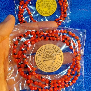 Colar de Odi bara Odu Obara Di Colar de semente preta e vermelha odibara oddi obaradi eleke dilogun kacha osun guerreros odu ifa babalawo Elegua