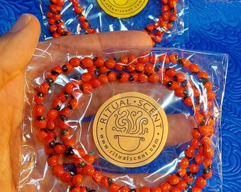 Collar de Odi bara Odu Obara Di Black and Red seed necklace odibara oddi obaradi eleke dilogun kacha osun guerreros odu ifa babalawo Elegua