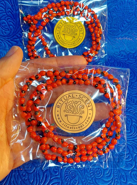 Kechasi kamming porno VK-da yaponcha seks korsatuvlari